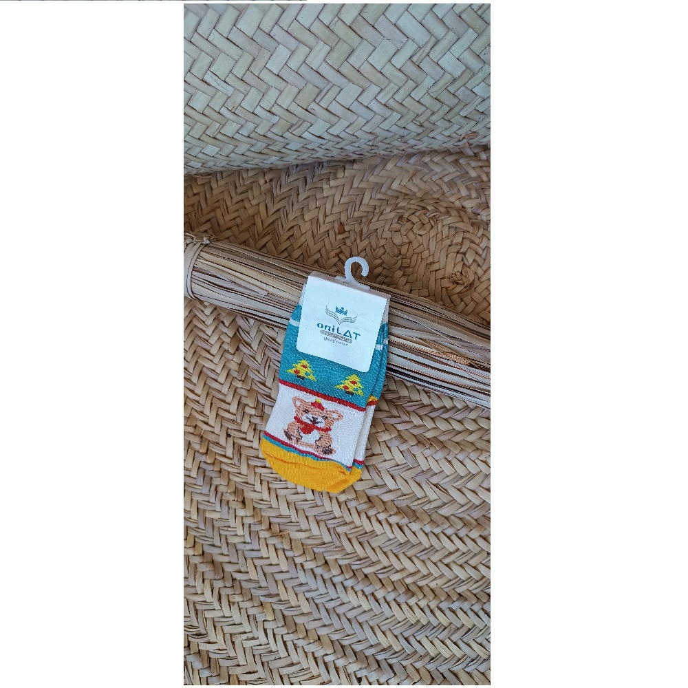 IMG_۲۰۲۳۰۴۱۵_۰۹۵۱۳۹